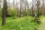 f1accfc416378c7be694bd653c1796ea.jpg