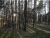 22d1bfc5241dd0186d6c87a3d07f758a.jpg