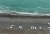 17485046649404638.jpg