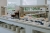 ad850d1639c709c2761ce108bd5095a7.jpg