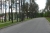 f99e8ae6a5070d6a4c093f995d1da58e.jpg