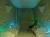 99def3e74d1df51a7e8bcf491ff68a7d.jpg
