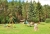 cd92dbbddd463b6a1ef3d6ac90bd14e6.jpg