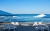 68af67256bb76550ab64874728728085.jpg