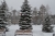 7325237deb661159f0bdc4df7068dd38.jpg