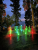 20f0d2379c516a4bafd66bba4dae0348.jpg