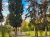 fe503c8f7de180bafb9c7d4659bc8a72.png