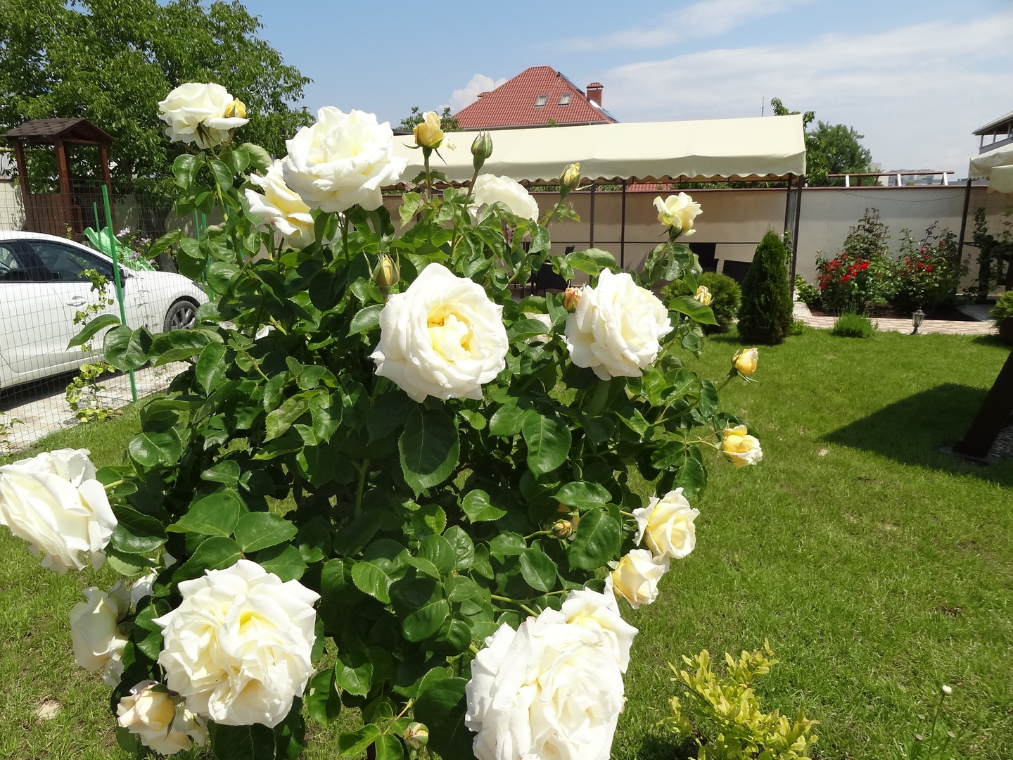 Гостевой дом «Севастопольская Усадьба» Севастополь, Крым