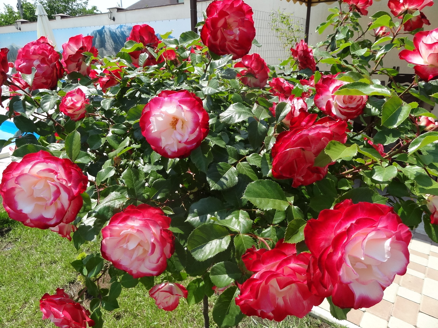 Гостевой дом «Севастопольская Усадьба» Севастополь, Крым