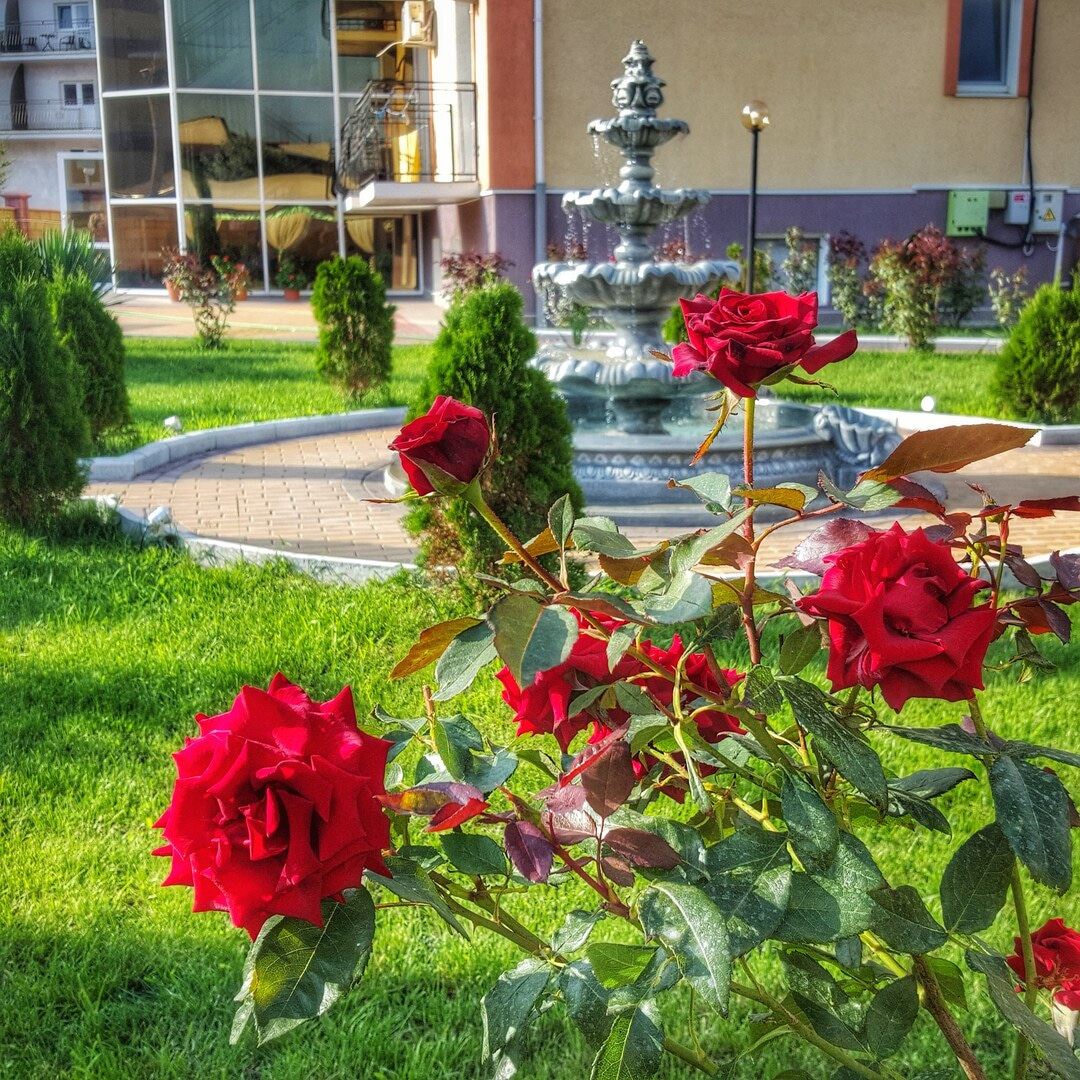 Курортный отель «Арпат» Новофедоровка ,Крым