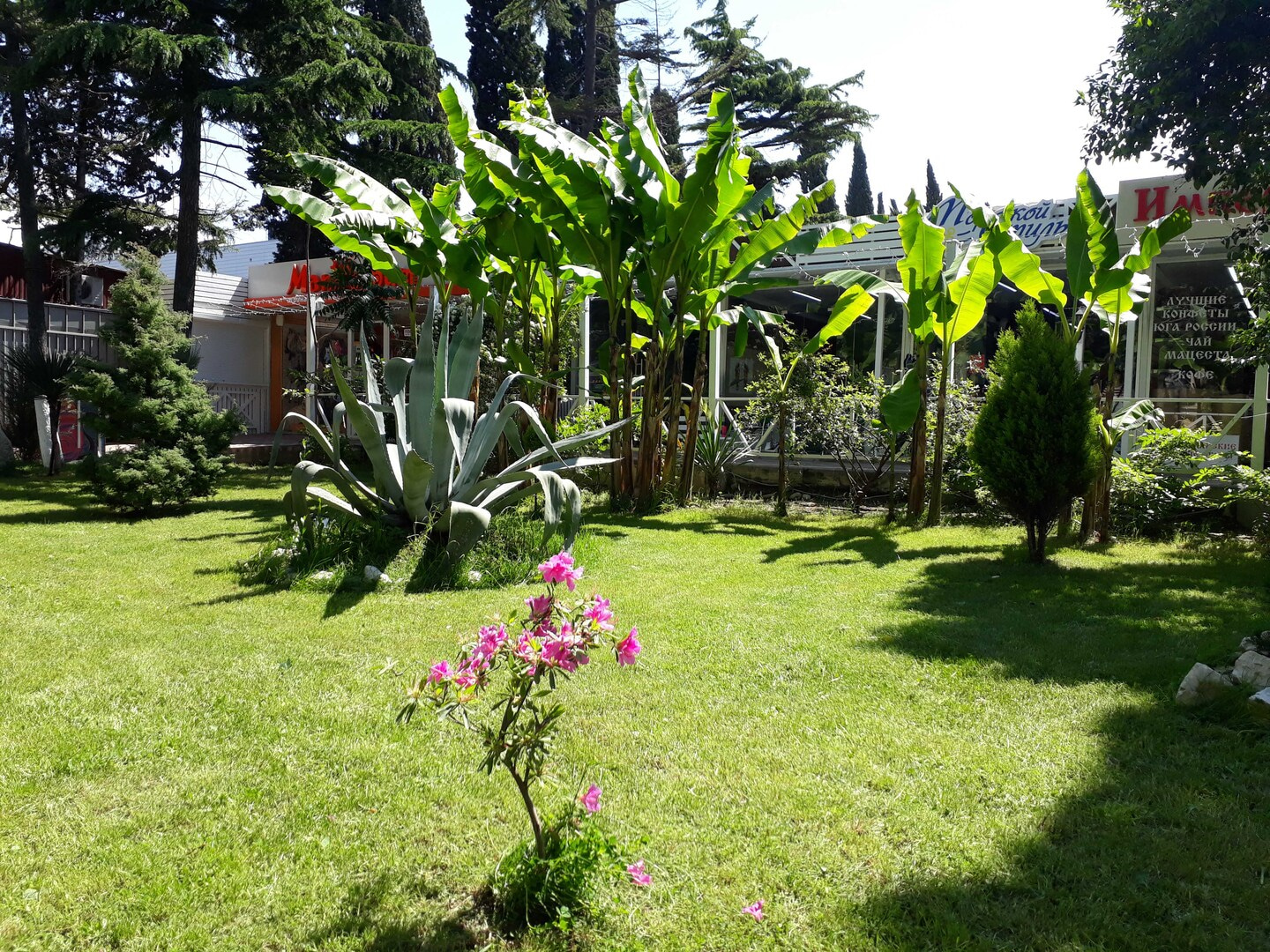 Гостиница «Аурум» Имеретинская бухта