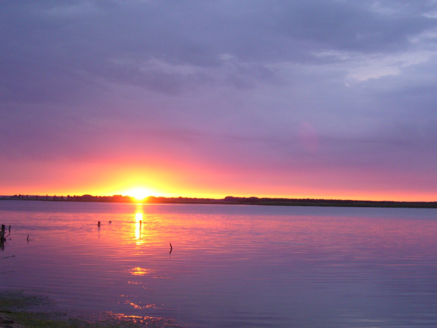 Санаторий «Сосновая роща» Курган