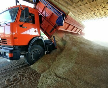 自年初以來，通過 KTZ 網絡的糧食運輸量增加了 10%，麵粉增加了 20%