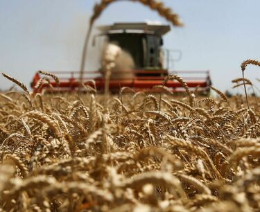 哈薩克斯坦增加對烏茲別克斯坦的小麥供應