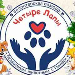 Четыре лапы  г. ИЖЕВСК Помощь бездомным животным