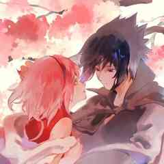 THE UNIVERSE OF SASUSAKU