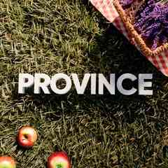 MTA Province (JST Project) | OFFICIAL GROUP