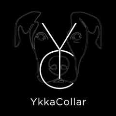 YkkaCollar Ошейники для собак