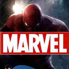Karton MARVEL/DC