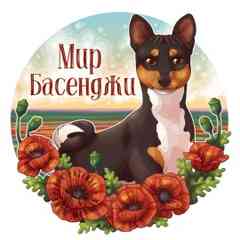 Мир Басенджи | World of Basenji
