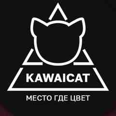 Kawaicat - создай свою индивидуальность!