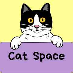 Cat Space | Пространство с котиками | Томск