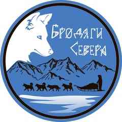 "Бродяги Севера". Якутская лайка. Блог.