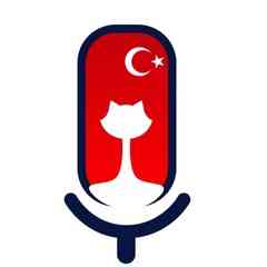 Ирина Котова. Турецкие сериалы и фильмы