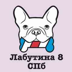 Зоосалон Барбос СПб груминг стрижка собак кошек