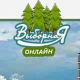Выборная online (Новосибирск)