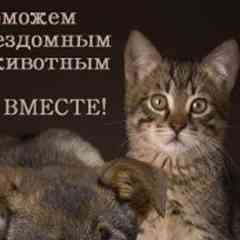 ПОМОЖЕМ БЕЗДОМНЫМ ЖИВОТНЫМ ВМЕСТЕ