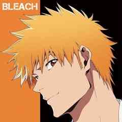 Bleach/Блич
