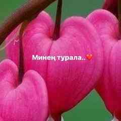 Минең турала...