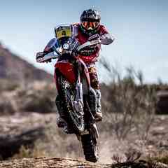 Motul, Liqui Moly, Gates, Dayco в СПБ