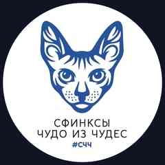 СФИНКСЫ  - ЧУДО ИЗ ЧУДЕС !