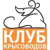 Клуб Крысоводов СПб | Крысы и крысята