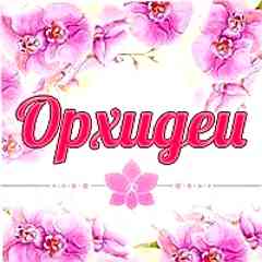 ОРХИДЕИ
