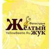 Жeлтый Жyк фoтocтудия Мypмaнcк 752-652