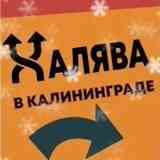 ОТДАМ ДАРОМ БЕСПЛАТНО  ХАЛЯВА  Калининград