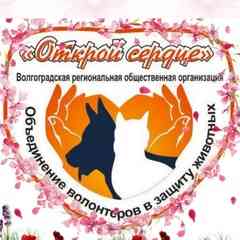ОТКРОЙ СЕРДЦЕ - ВОЛОНТЕРЫ В ЗАЩИТУ ЖИВОТНЫХ