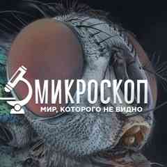 Микроскоп: наука и факты