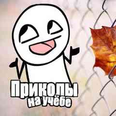 Приколы про школу и учёбу
