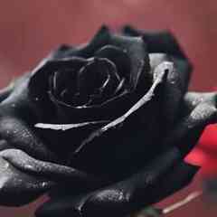 Готика †† Gothic In my soul