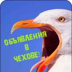 Объявления город Чехов