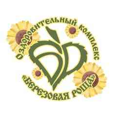 Детский лагерь Березовая роща Ижевск