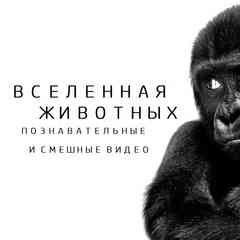 Вселенная животных.