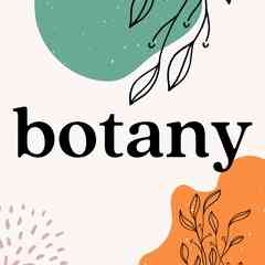 BOTANY - суккуленты и аксессуары