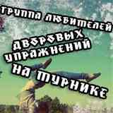 Группа любителей дворовых упражнений на турнике