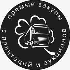 ЦВЕТЫ ОПТОМ