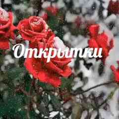 Открытки - самые красивые